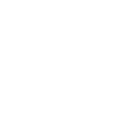 Alt Key